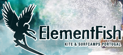 www.elementfish.de